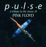 PULSE - Un tributo alla musica dei Pink Floyd