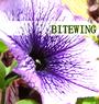 BITEWING